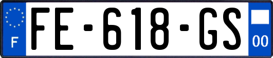 FE-618-GS