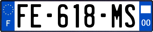 FE-618-MS