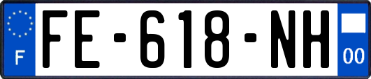 FE-618-NH