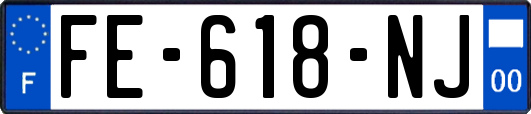 FE-618-NJ
