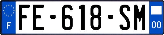 FE-618-SM