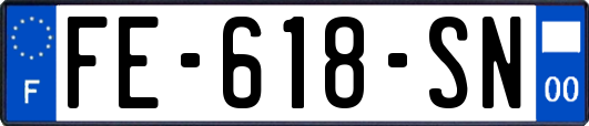 FE-618-SN