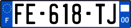 FE-618-TJ