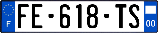 FE-618-TS
