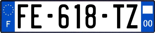 FE-618-TZ