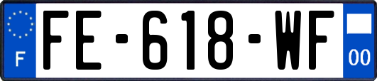 FE-618-WF