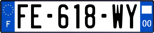 FE-618-WY