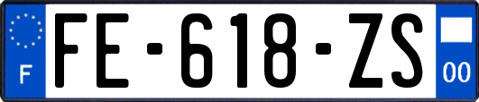 FE-618-ZS