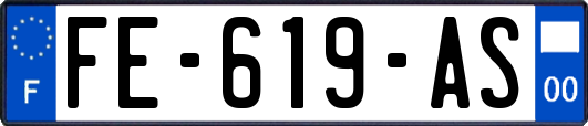 FE-619-AS