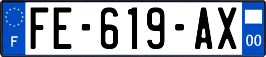 FE-619-AX