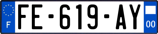 FE-619-AY