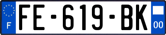 FE-619-BK