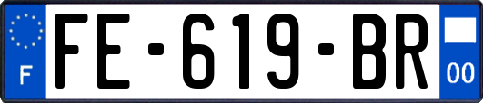 FE-619-BR