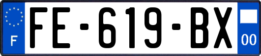 FE-619-BX