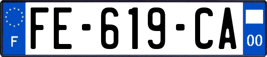 FE-619-CA