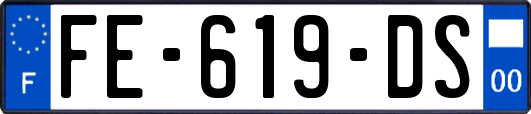 FE-619-DS