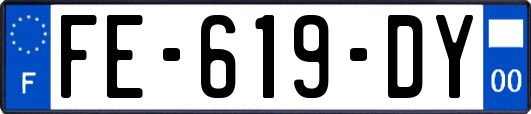 FE-619-DY