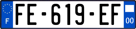 FE-619-EF