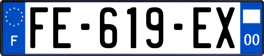 FE-619-EX