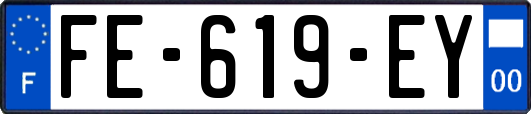 FE-619-EY