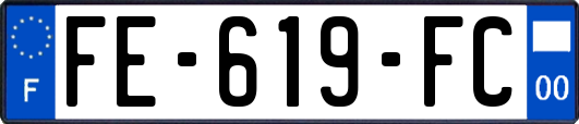 FE-619-FC