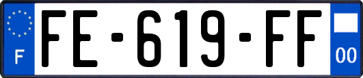 FE-619-FF
