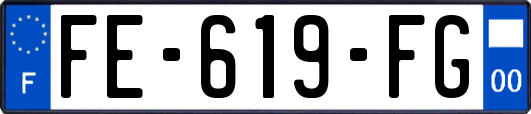 FE-619-FG