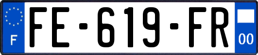 FE-619-FR