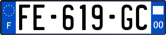 FE-619-GC