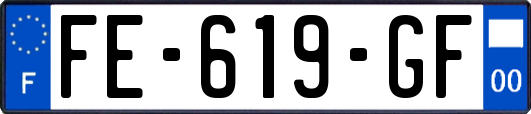 FE-619-GF
