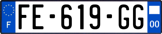 FE-619-GG