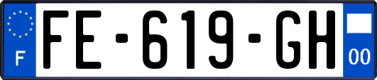 FE-619-GH