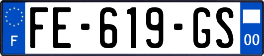 FE-619-GS
