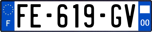 FE-619-GV