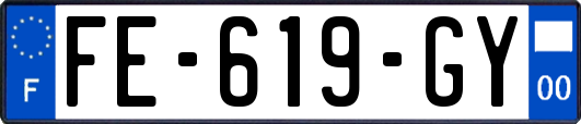 FE-619-GY