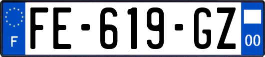 FE-619-GZ