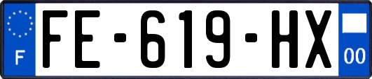 FE-619-HX