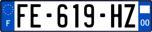 FE-619-HZ