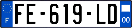 FE-619-LD