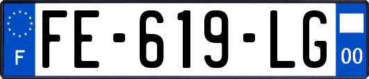 FE-619-LG