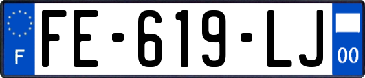 FE-619-LJ