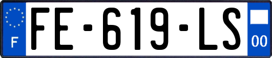 FE-619-LS