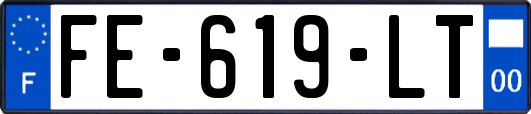 FE-619-LT