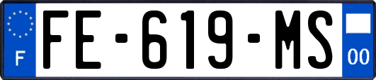 FE-619-MS
