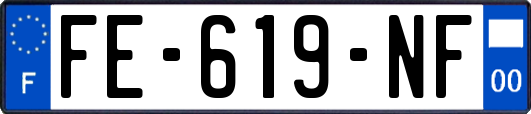FE-619-NF