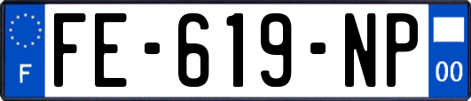 FE-619-NP