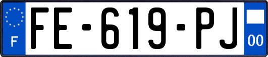 FE-619-PJ