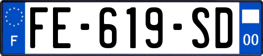 FE-619-SD