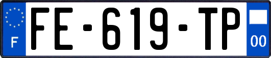 FE-619-TP