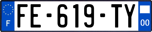 FE-619-TY